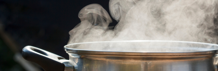 La cuisson à la vapeur est plus saine que la cuisson à l'eau