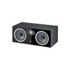 Enceinte centrale