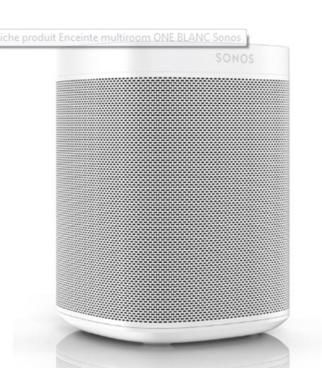 Sony SRS-XE300 Enceinte Bluetooth fonction mains libres, étanche à la  poussière, portable, étanche à l'eau gris livraison gratuite